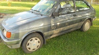 福特嘉年华，发动机再生，意见，陶化器